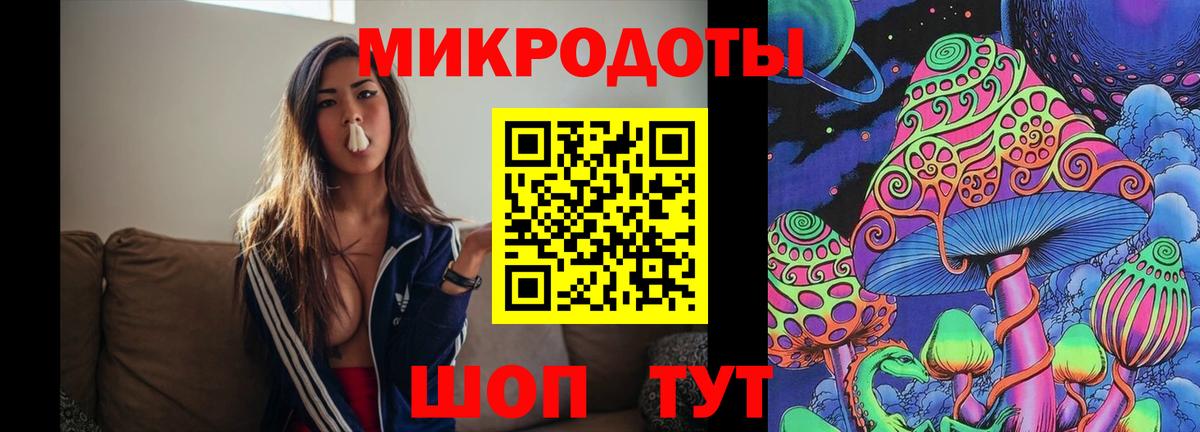 Псилоцибиновые грибы Cubensis  Вход с VPN  Анапа 
